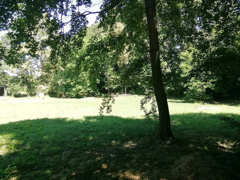 Der kleine Park vorm Haus