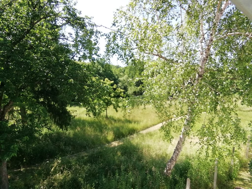 Ferienwohnung Ungarn Zalakaros, Galambok, Pat, Nagykanizsa, Marcali Blaues Studioapartment Ausblick